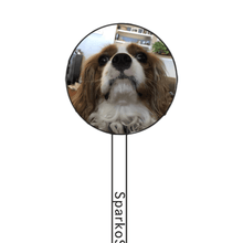 Load image into Gallery viewer, FALSE