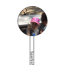 Load image into Gallery viewer, FALSE