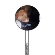 Load image into Gallery viewer, FALSE