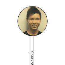 Load image into Gallery viewer, FALSE
