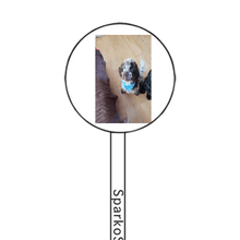 Load image into Gallery viewer, FALSE
