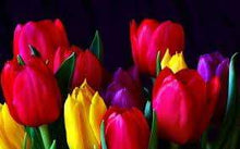 Load image into Gallery viewer, Custom Product Design
